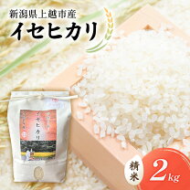 楽天市場】イセヒカリ 米の通販