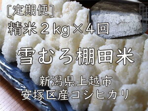 yӂ邳Ɣ[Łzߘa7N VY Ic RVqJ   8kg 8L (2kg×4) ᒆ ނ Ђ    V z  @͂F10{菇