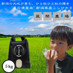 yӂ邳Ɣ[ŁzVė\ ߘa7N VYRVqJ 5kg 5L zs Ԕ_ ̐ ]RVqJ    SESЂ s\@͂F2025N1015`12