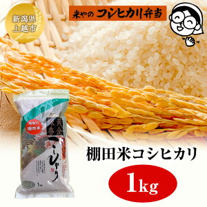 yӂ邳Ɣ[ŁzIcăRVqJ 1kg zs  R  uh