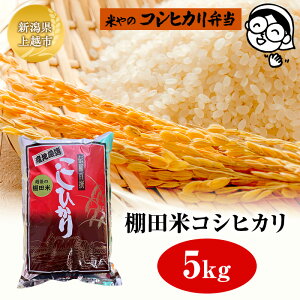 yӂ邳Ɣ[ŁzIcăRVqJ 5kg zs  R  uh