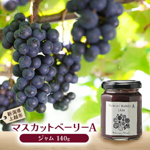 yӂ邳Ɣ[Łz}XJbgEx[[A@W zs ԂǂW uhEW  Mtg