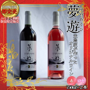 yӂ邳Ɣ[ŁzC/ViԁE[j2{Zbg/e750ml/}XJbgx[[A100/VzsY