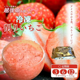 【ふるさと納税】削りいちご 越後姫 容量と配送回数が選べる 冷凍 イチゴ 苺 果物 フルーツ 新潟