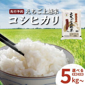 【ふるさと納税】【先行予約】令和7年 新米 新潟県産コシヒカリ えちご上越米 容量と回数が選べる 新潟 米 新潟県 こしひかり 限定 おすすめ 米 定期便　お届け：2025年10月上旬～
