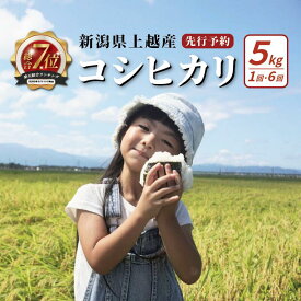 【ふるさと納税】【先行予約】令和8年 新潟上越産コシヒカリ 5kg 5キロ 配送回数が選べる 新潟 米 新潟県 こしひかり 限定　お届け：毎月1回10日(土日/祝日を除く)に発送いたします。