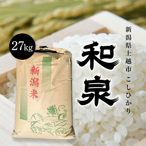yӂ邳Ɣ[Łzys\@10{菇oׁzߘa7NY@zYЂwax27kg zs   Mtg ΂@͂F2025N10{`12{܂