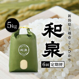 yӂ邳Ɣ[Łzys\@10{菇oׁzߘa7NY@zYЂwax5kg 6 zs   Mtg ΂@͂F2025N10{`12{܂