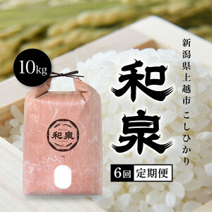 yӂ邳Ɣ[Łzys\@10{菇oׁzߘa7NY@zYЂwax10kg 6 zs   Mtg ΂@͂F2025N10{`12{܂