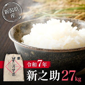 yӂ邳Ɣ[Łzys\10{菇oׁzߘa7N VY VV 27kg zs V  ]i  @͂F2025N10{`12{܂