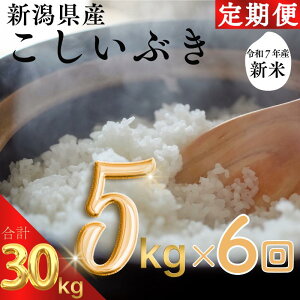 yӂ邳Ɣ[ŁzVė\ ߘa7N VYԂ 30kg 30Li 5kg×6j  ij ăBbW А    VŐ܂ꂽiŁA悢S