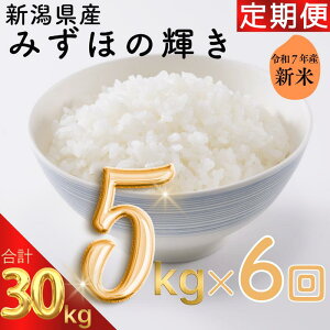 yӂ邳Ɣ[ŁzVė\ ߘa7N VY݂ق̋P 30kg 30Li5kg×6j  ij ăBbW А    zsŐ܂ꂽIWi uh