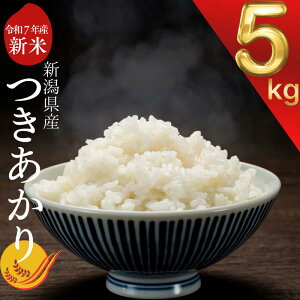 【ふるさと納税】新米予約 令和7年 新潟県産つきあかり 5kg 5キロ 白米 精米 送料無料 上越市 米ヴィレッジさんわ 低温貯蔵 品質管理徹底 先行予約 お届け:10月下旬〜12月下旬