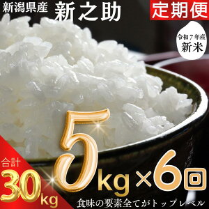 yӂ邳Ɣ[ŁzVė\ ߘa7N VYVV 30kg i5kg×6j30L  ijzs ăBbW А     s\ @͂F10