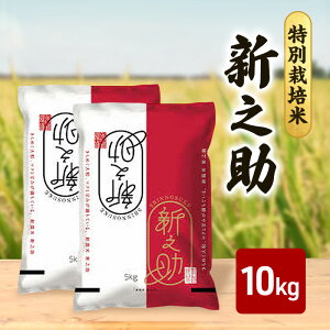 yӂ邳Ɣ[Łzy10{菇oׁzߘa7NY ʍ͔| VV  10kg i5kg×2܁j     ͂ ɂ VY zY V zs@͂F2025N10{