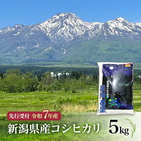 【ふるさと納税】【令和7年産 コシヒカリ】新潟県産コシヒカリ 5kg 上越市 米 こめ コメ お取り寄せ　お届け：2025年10月中旬～2026年8月下旬まで