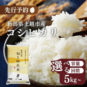 yӂ邳Ɣ[Łzߘa7NY V VzsY RVqJ Ic u嗧 v 5kg 5L 10kg 10L 15kg 15L 20kg 20L 30kg 30L 1 3 6 zs   R uh 