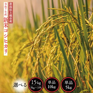 yӂ邳Ɣ[ŁzV ߘa7NY V zsY RVqJ 5kg 5L 10kg 10L  10{菇o   ā@͂F2025N10{2026N3{܂