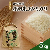 楽天市場】上伊那 コシヒカリの通販