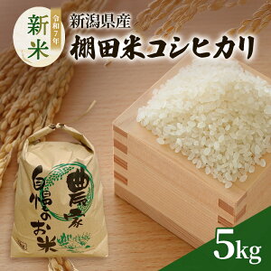 yӂ邳Ɣ[ŁzV ߘa7N VY Ic RVqJ 5kg 5L  zs  I Ђ  