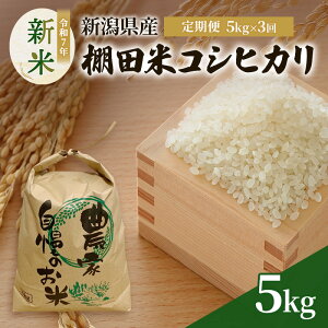 yӂ邳Ɣ[Łz5kg×3܁iv15kgjV ߘa7N VY Ic RVqJ 5kg 5L  zs  I Ђ   @͂F2025N11{珇܂B