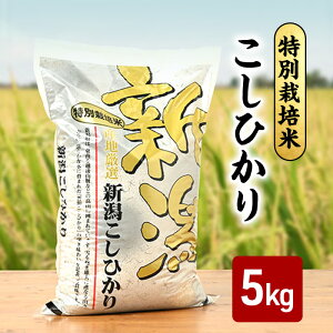 yӂ邳Ɣ[ŁzV ߘa7N VYRVqJ ʍ͔| 5kg 5L zs Oa_c xi_Y L@엿 ƐgpĂ @͂F2025N11{`2026N3