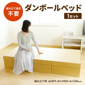 �y�ӂ邳�Ɣ[�Łz�_���{�[���x�b�h�i�i�{�[���x�b�h�j �g�ݗ��ē���s�v �R���p�N�g���[ �ЊQ�p�i �q�� �����܂�� ���q�p