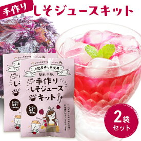 【ふるさと納税】手作りしそジュースキット 2袋セット 紫蘇 紫蘇ジュース しそジュース 上越市