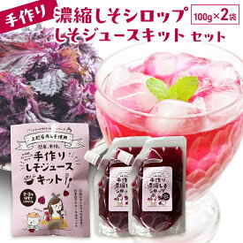 【ふるさと納税】手作り濃縮しそシロップ100g×2袋とジュースキットセット 紫蘇 紫蘇ジュース しそジュース 上越市