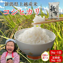 楽天市場】新米 コシヒカリ30kgの通販