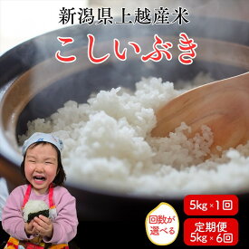 【ふるさと納税】先行予約 令和8年産 令和7年産 上越市産こしいぶき 5kg 5キロ 30kg 30キロ（5kg×6回） 新米 精米 新潟 米 こしいぶき 定期便 新潟県 上越市 限定 おすすめ 米ヴィレッジさんわ　お届け：記載の配送開始日から順次発送