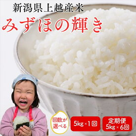 【ふるさと納税】先行予約 令和8年産 令和7年産 上越市産みずほの輝き 5kg 5キロ 30kg 30キロ（5kg×6回） 新米 精米 新潟 米 みずほの輝き 定期便 新潟県 上越市 限定 おすすめ 米ヴィレッジさんわ　お届け：記載の配送開始日から順次発送