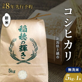 【ふるさと納税】先行予約 令和8年 新米 無洗米 新潟県上越市産 コシヒカリ 5kg 5キロ お米 コメ こしひかり 澤井商事　お届け：2026年11月初旬～12月下旬