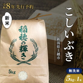 【ふるさと納税】先行予約 令和8年 新米 無洗米 新潟県上越市産 こしいぶき 5kg 5キロ お米 コメ 澤井商事　お届け：2026年11月初旬～12月下旬