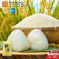 楽天市場】コシヒカリ 無洗米 3kgの通販