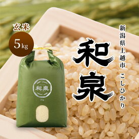 【ふるさと納税】先行予約 玄米 令和8年 新潟県 上越産 こしひかり 5kg 5キロ 和泉 ワイズファーム 上越市 米 ギフト 喜ばれる コシヒカリ　お届け：2026年10月中旬～12月下旬まで