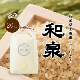 【ふるさと納税】先行予約 玄米 令和8年 新潟県 上越産 こしいぶき 20kg （5kg×4袋） 和泉 ワイズファーム 上越市 米 ギフト 喜ばれる　お届け：2026年10月中旬～12月下旬まで