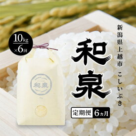【ふるさと納税】先行予約 新米 定期便6ヶ月配送 令和8年 新潟県 上越産 こしいぶき 10kg （5kg×2袋）×6回 和泉 ワイズファーム 上越市 精米 米 ギフト 喜ばれる　お届け：2026年10月中旬～2027年4月下旬まで