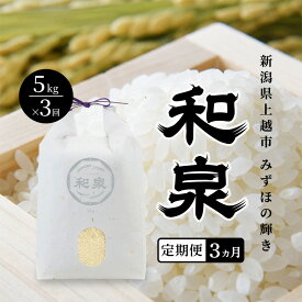 【ふるさと納税】先行予約 新米 定期便3ヶ月配送 令和8年 新潟県 上越産 みずほの輝き 5kg 5キロ×3回 和泉 ワイズファーム 上越市 精米 米 ギフト 喜ばれる　お届け：2026年10月中旬～2027年4月下旬まで