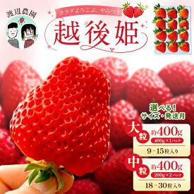 【ふるさと納税】【配送時期と容量が選べる】いちご 大粒 中粒 カラダよろこぶ やみつき 越後姫 イチゴ 苺 上越市 新潟 渡辺農園　お届け：2027年1月採れ次第～2027年6月中旬