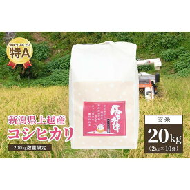 【ふるさと納税】200kg数量限定 令和5年／新潟上越産「標高480mの山間地で育てた棚田米コシヒカリ」玄米20kg