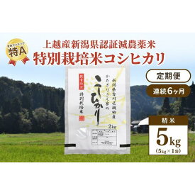 【ふるさと納税】「6カ月連続発送定期便」新潟県認証減農薬米／特別栽培米コシヒカリ 精米5kg（1袋）