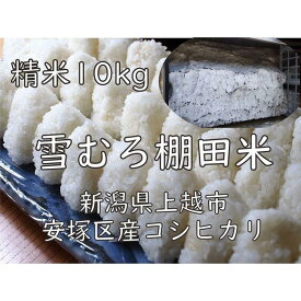 【ふるさと納税】雪むろ棚田米コシヒカリ10kg精白米