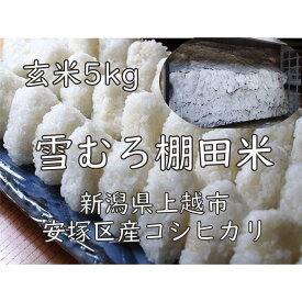 【ふるさと納税】雪むろ棚田米コシヒカリ5kg玄米