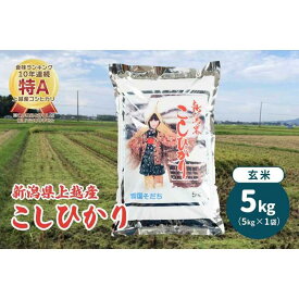 【ふるさと納税】令和5年産・新潟県上越産／コシヒカリ 玄米5kg（1袋）｜美味安全野菜栽培士が栽培したお米