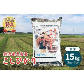 【ふるさと納税】令和5年産・新潟県上越産／コシヒカリ 玄米 15kg（5kg×3）｜美味安全野菜栽培士が栽培したお米