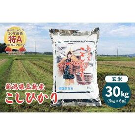 【ふるさと納税】令和5年産・新潟県上越産／コシヒカリ玄米 30kg（5kg×6）｜美味安全野菜栽培士が栽培したお米