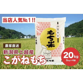 【ふるさと納税】ブランドもち米「こがねもち」令和5年産 新潟県産／【精米20kg（5kg×4袋）】