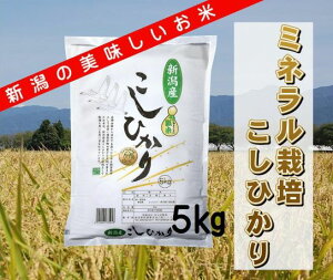 yӂ邳Ɣ[Łzyߘa7NYVė\z~l͔|Ђ 5kg   čX 10{菇\