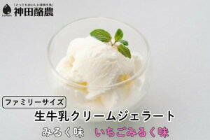 【ふるさと納税】生牛乳クリームジェラート ギフトボックス アイス アイスクリーム ジェラート ミルク いちご スイーツ 冷凍